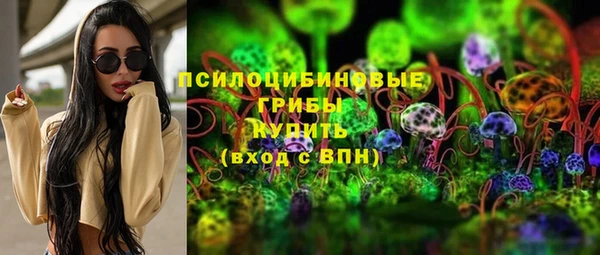 мдпв Арсеньев