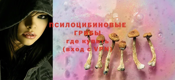 мдпв Арсеньев