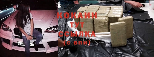 дживик Аркадак