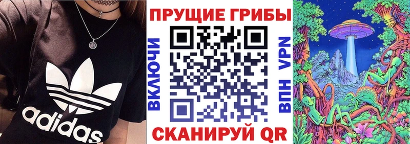 Псилоцибиновые грибы Magic Shrooms  продажа наркотиков  Покровск 